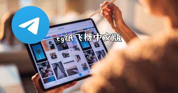 tg纸飞機中文版