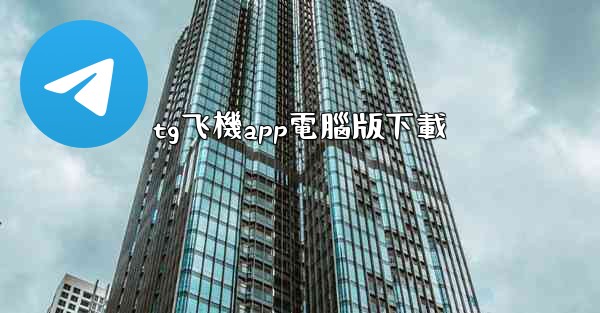 tg飞機app電腦版下載