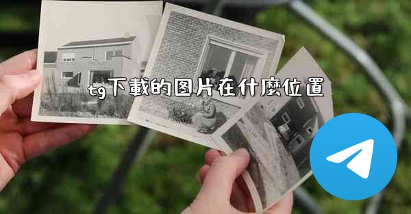tg下載的图片在什麼位置