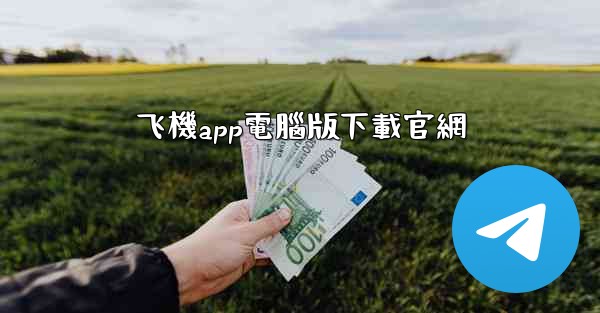 飞機app電腦版下載官網