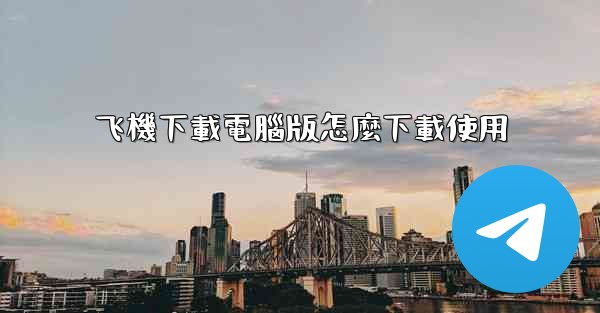 飞機下載電腦版怎麼下載使用