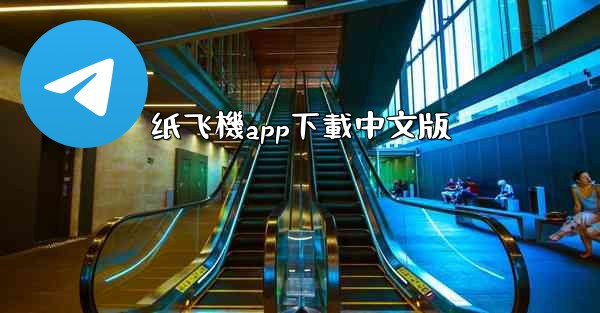 纸飞機app下載中文版