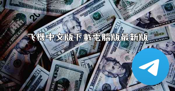 飞機中文版下載電腦版最新版