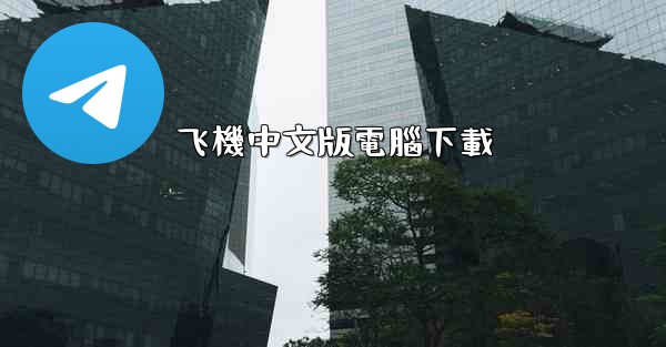 飞機中文版電腦下載