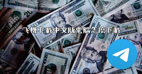 飞機下載中文版電腦怎麼下載