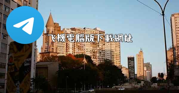 飞機電腦版下載網址