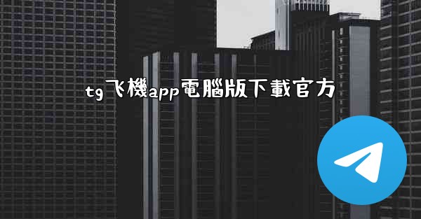 tg飞機app電腦版下載官方