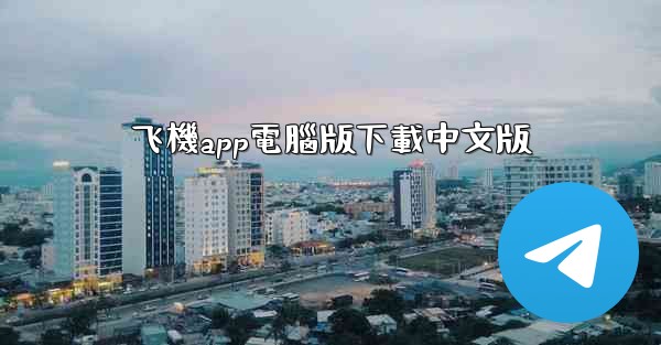 飞機app電腦版下載中文版