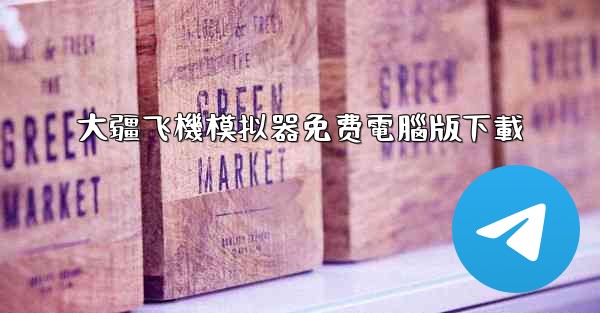 大疆飞機模拟器免费電腦版下載