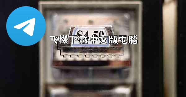 飞機下載中文版電腦