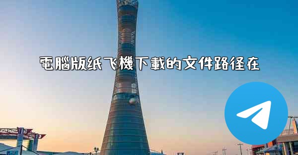電腦版纸飞機下載的文件路径在