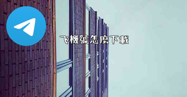 飞機號怎麼下載