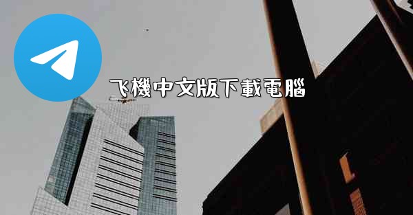 飞機中文版下載電腦