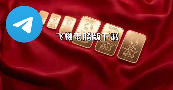 飞機電腦版下載