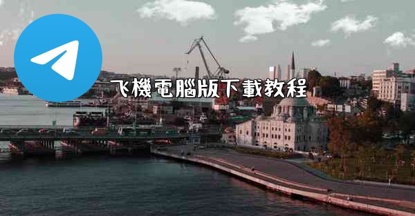 飞機電腦版下載教程