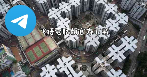 飞语電腦版官方下載