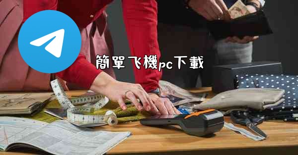 簡單飞機pc下載