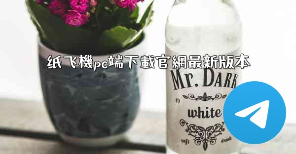 纸飞機pc端下載官網最新版本