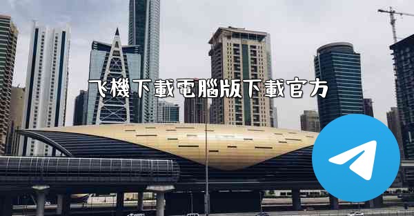 飞機下載電腦版下載官方