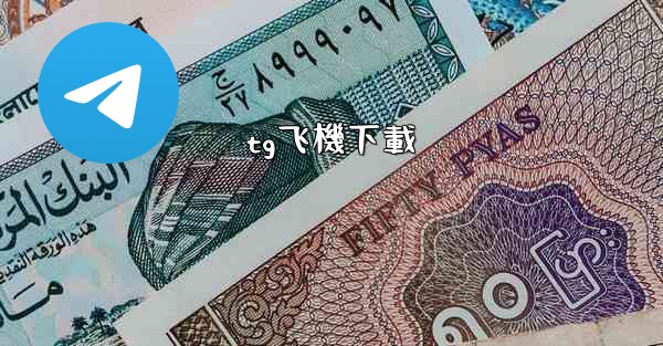 tg飞機下載