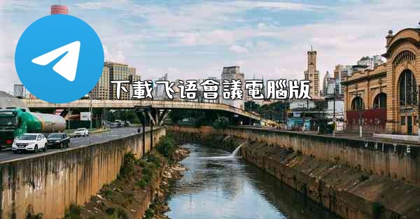 下載飞语會議電腦版