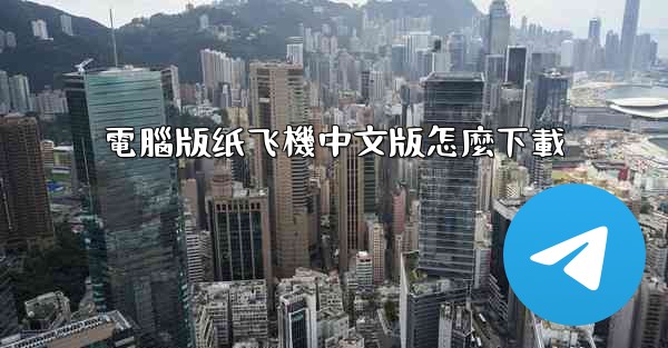 電腦版纸飞機中文版怎麼下載