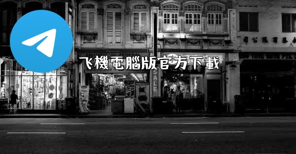 飞機電腦版官方下載