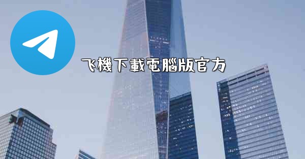 飞機下載電腦版官方