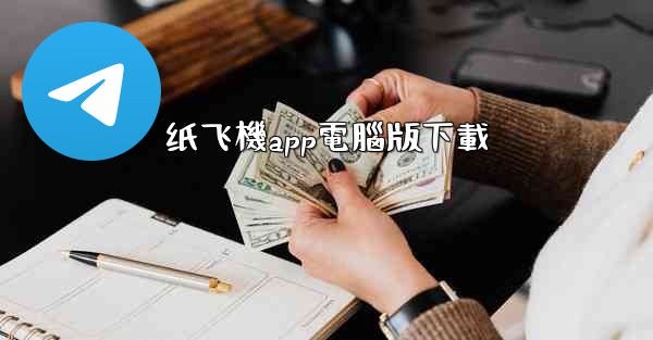 纸飞機app電腦版下載