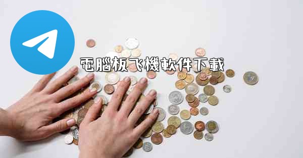 電腦板飞機軟件下載