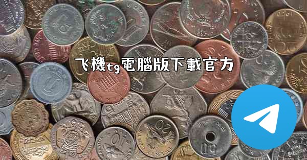 飞機tg電腦版下載官方