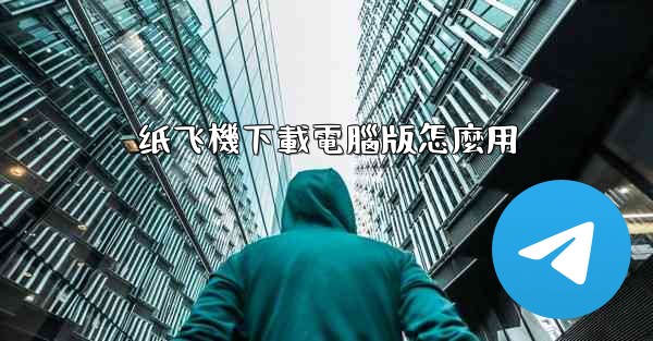 纸飞機下載電腦版怎麼用