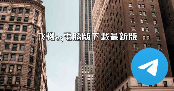 飞機tg電腦版下載最新版