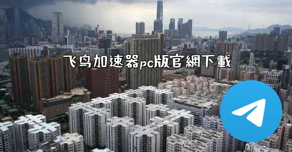 飞鸟加速器pc版官網下載