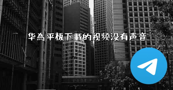 华為平板下載的视频没有声音