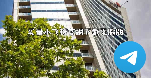 买量小飞機官網下載電腦版