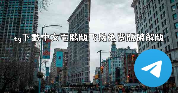 tg下載中文電腦版飞機免费版破解版