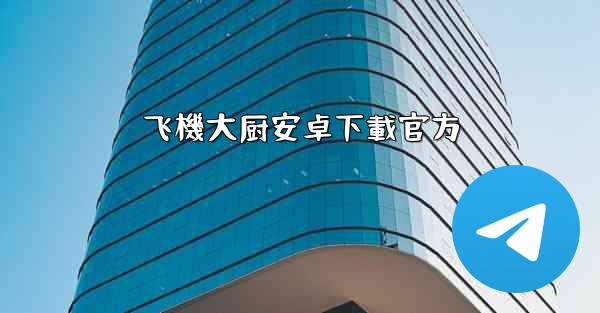 飞機大厨安卓下載官方