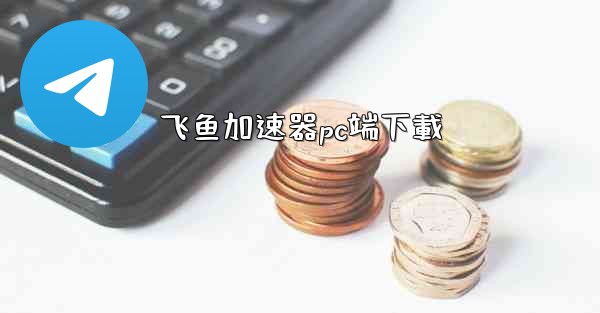飞鱼加速器pc端下載