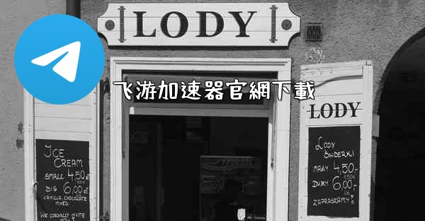 飞游加速器官網下載