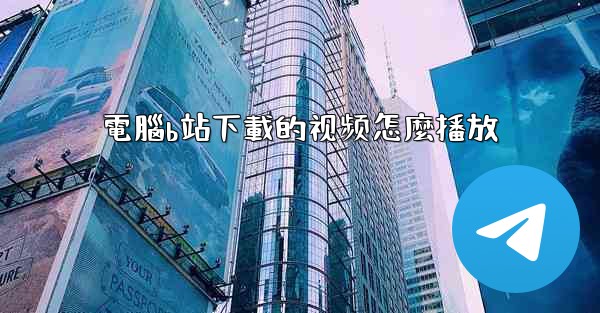 電腦b站下載的视频怎麼播放