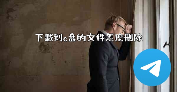 下載到c盘的文件怎麼刪除