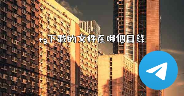 tg下載的文件在哪個目錄