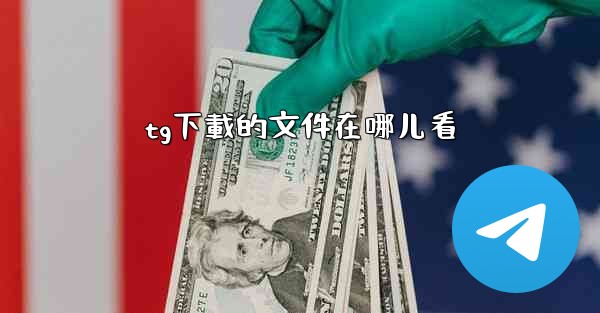 tg下載的文件在哪儿看
