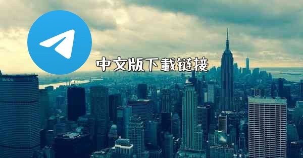 中文版下載链接