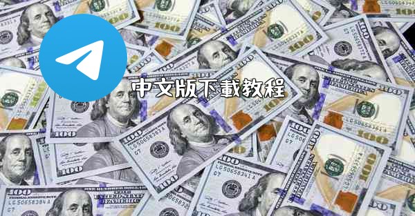 中文版下載教程