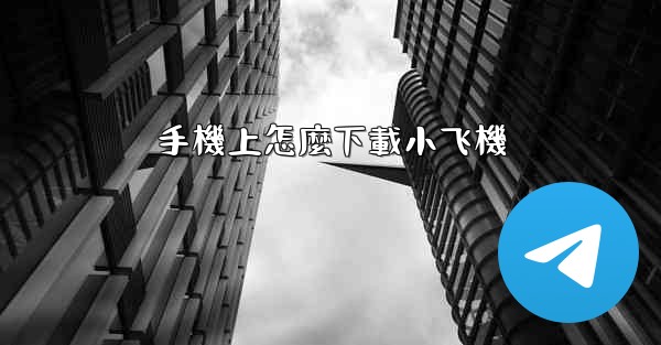 手機上怎麼下載小飞機