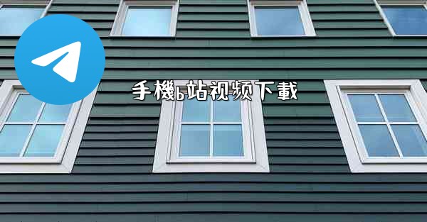 手機b站视频下載