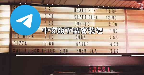 中文版下載安裝包