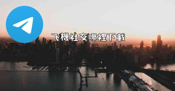 飞機社交哪裡下載